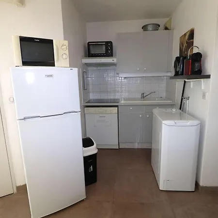 Apartman 2 Pieces Avec Grande Terrasse, Climatisation, Piscine Et Parking Au Grau-du-roi - Fr-1-307-139