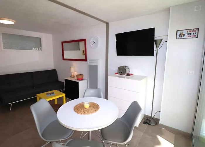 2 Pieces Avec Grande Terrasse, Climatisation, Piscine Et Parking Au Grau-du-roi - Fr-1-307-139 * Le Grau-du-Roi
