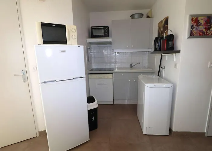 Διαμέρισμα 2 Pieces Avec Grande Terrasse, Climatisation, Piscine Et Parking Au Grau-du-roi - Fr-1-307-139